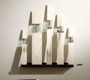 seedlings-7