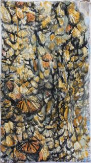 anandakuttan_krista_the-weight-of-wings-copy