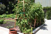 Garden #1 after