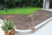 Garden 1 before