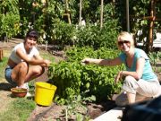 Gardening is good for the soul!