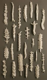 lbreznak-%22the-new-botanicals%22