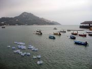 Water Lilies - Stanley Harbor - Hong Kong