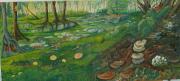 forest-mushrooms-2