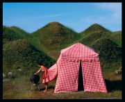 Picnic Dress Tent