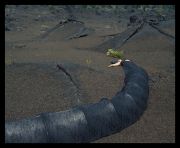 Lava Tube Top Dress Tent