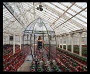 Green House Dress Tent