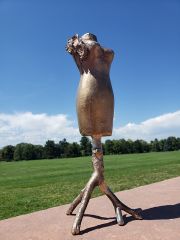 20220825_162253-2-natures-form