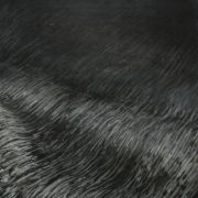 Small Search for Water on Mars #37-