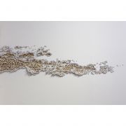 recompose-leah-wilson