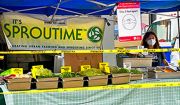 9.Sproutime-market-2021