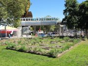 spl-straw-garden-growing-weadmonorail-sept-monrail-copy-3