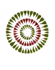 Circle In