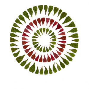Circle In