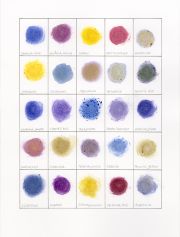 Hillsdale Sampler (Verbena - Angelonia)