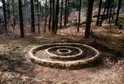 Concentric Circle