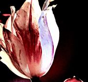 AE87C34D-FF20-46DA-BA2C-A76424BD401E_1_201_a