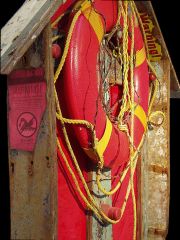 3-redskerriesaver_dtl_wead