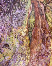 NewRealm_GrizzlyCreekRedwoods