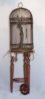 the-star-cage-w-wo-background-large-2-wordpress