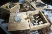 animal-lichen-bird-box