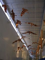 winging-northinstal