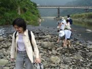 tracing-hsin-dien-stream-by-walk-2006