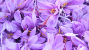 Captura-de-pantalla-2020-09-20-a-las-17.20.52
