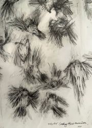 Birds-Detail-SmallerSigned