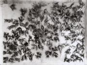 crashing-bird-overallFINAL