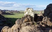 Eco-Baroque in Mongolia