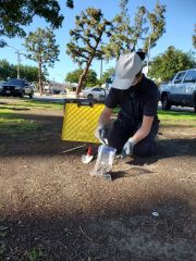 Prospering-backyards.-People-building-soil-and-community