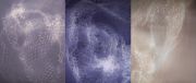 07ghostnets