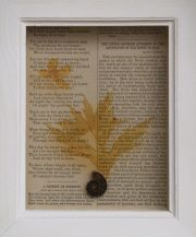 20_Abma_Looking-Glass1