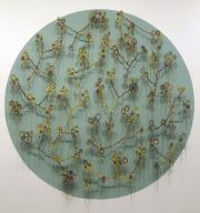 under-a-microscope-5ft