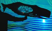 img_7981_02