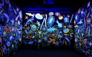 michele-guieu-plankton-installation-MAH-04