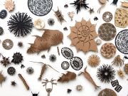 michele-guieu-plankton-wall-IMG_2115