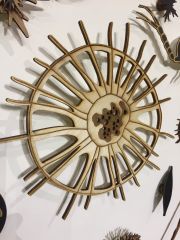 michele-guieu-plankton-wall-san-diego-city-college