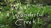 what_wonderful_creek_01