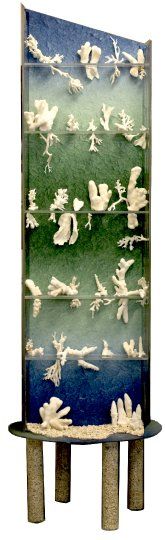 Coral Ghosts
