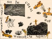 Coral Reef Wonderland:  Last Chance