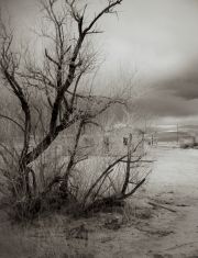garth_m-a-death-in-the-desert-5