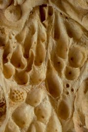 mowson boobscape detail 2