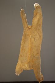 mowson slink babyform detail