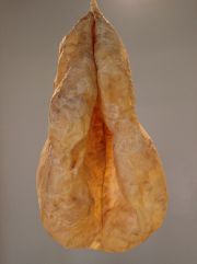 IMG_1818 copy