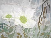 Khorover.CornusFlorida