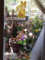 received_1021959968683052