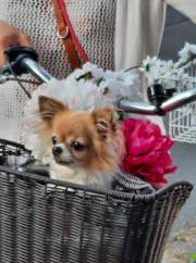 received_593117382484489