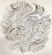 Carol-Newborg-Polar-Vortex-near-Denver-